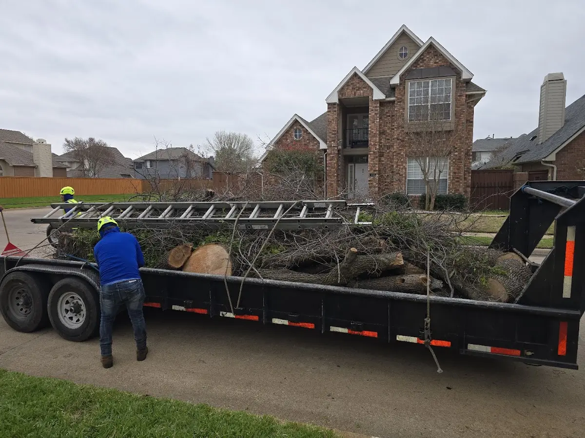 Expert Lot Clearing with proper safety equipment in Navarre
